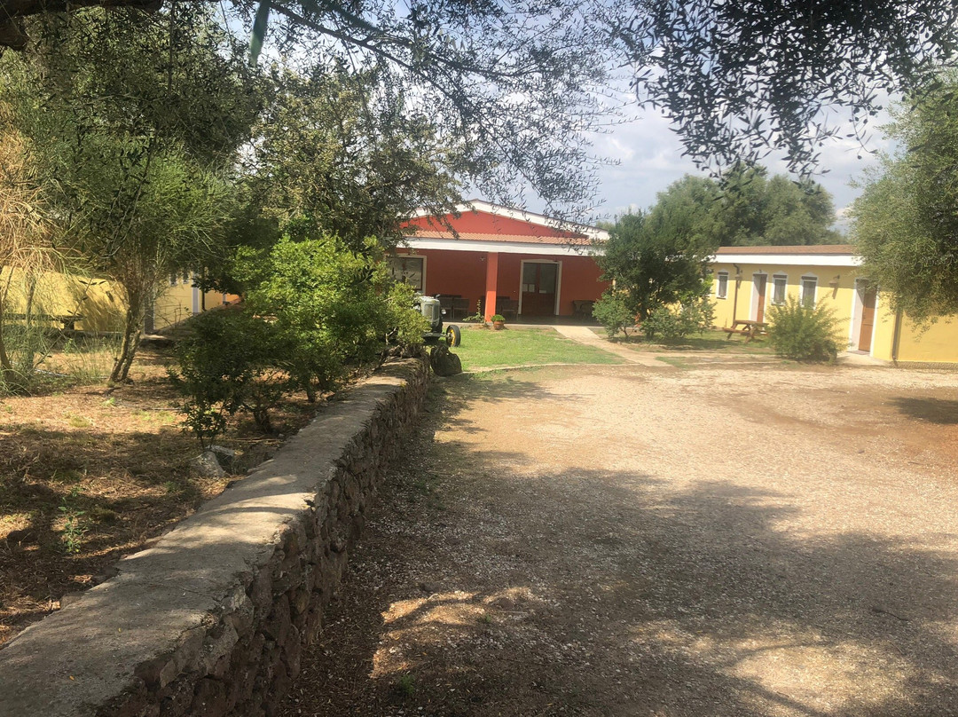 Agriturismo Bio-farm Cucche' di Patteri e Serra-Dorgali必去景点