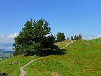 Luftseilbahn Seebodenalp-屈斯纳赫特瑞吉必去景点