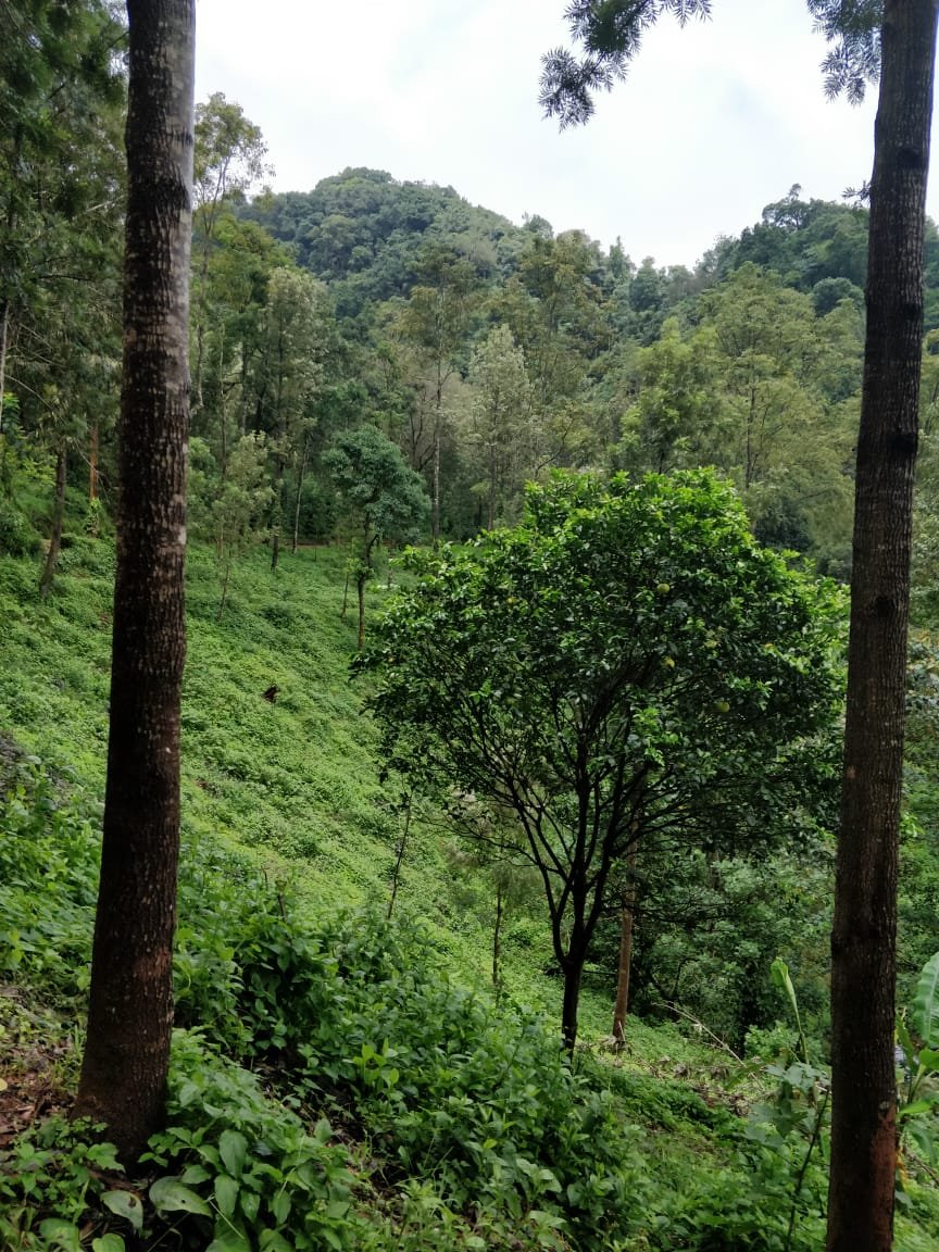 Kalgreen Valley Resort-酒店景观