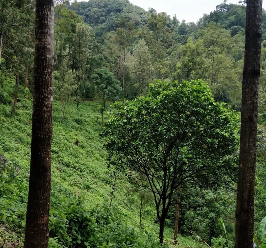 Kalgreen Valley Resort主图