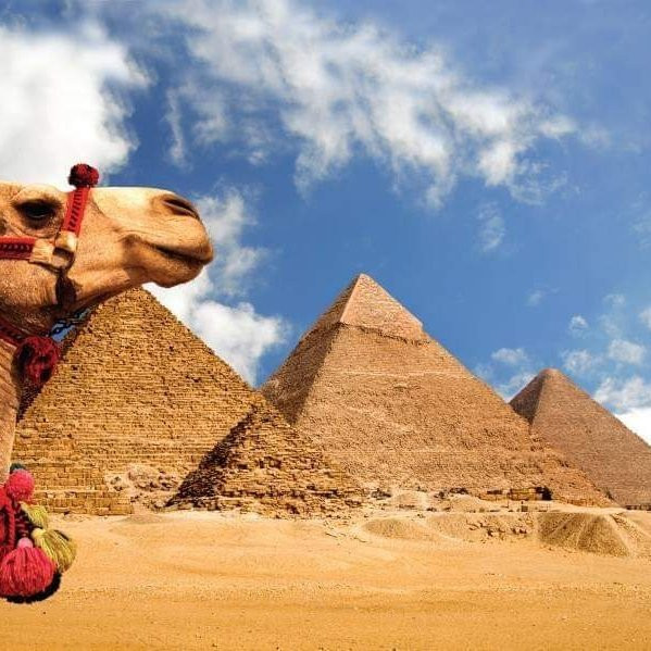 Egypt guide tours-开罗必去景点