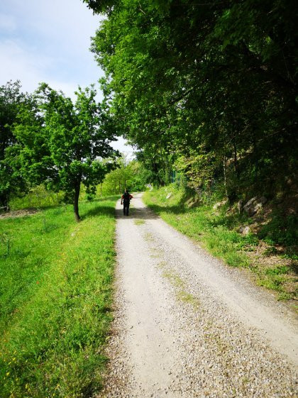 Parco Regionale della Vena del Gesso Romagnola景点图片