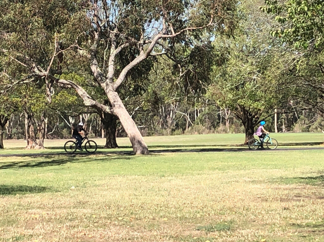 Brandon Park Reserve-格伦韦弗利必去景点