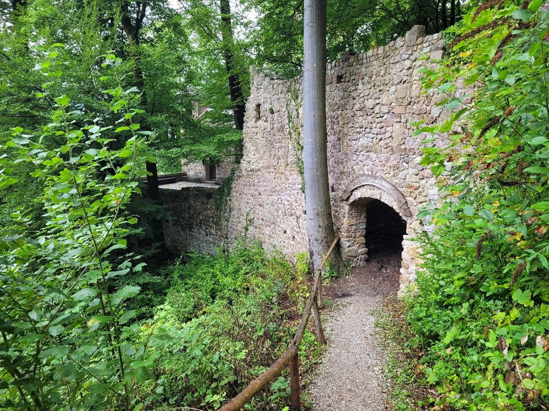 Burgruine Rottenburg