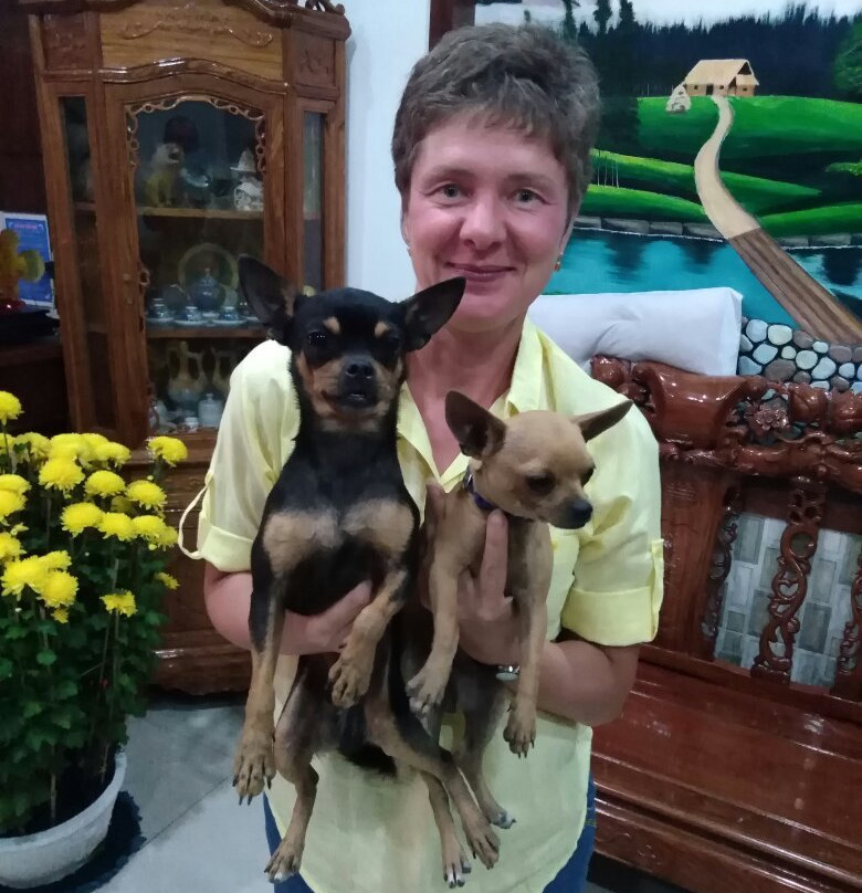 Guesthouse Thao Linh