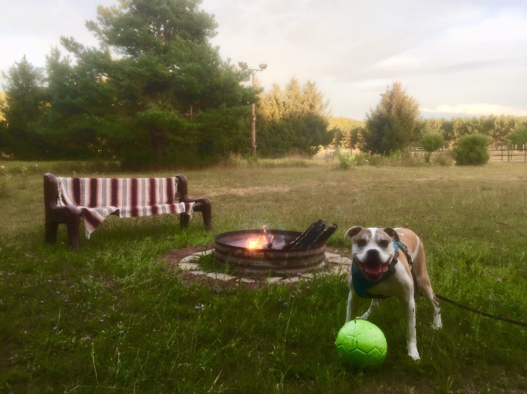 Grace Grange Lodge and Stable主图