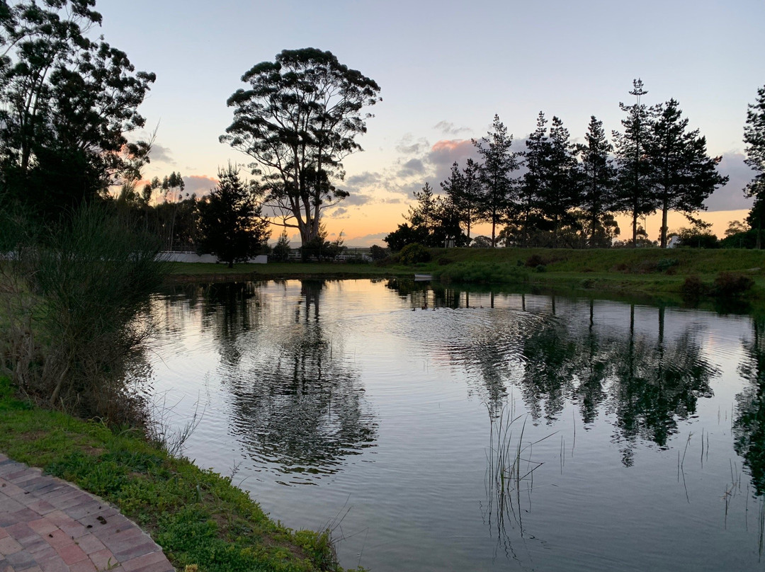 Vine Guesthouse主图