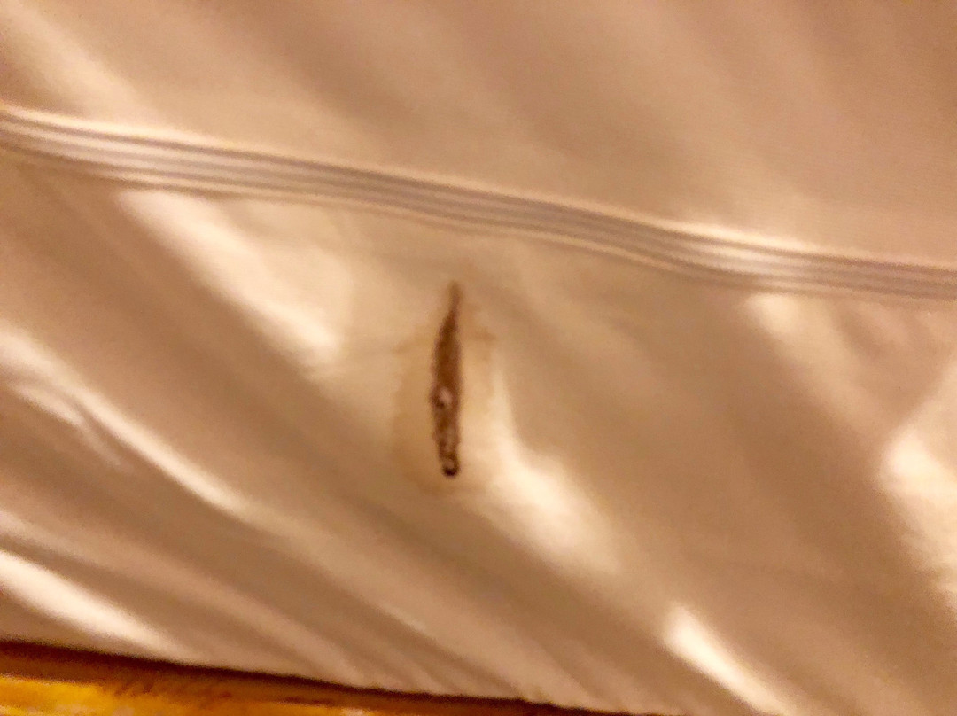 Sunflower Motel主图