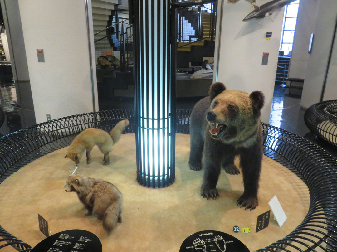 The Kushiro City Museum-钏路市必去景点