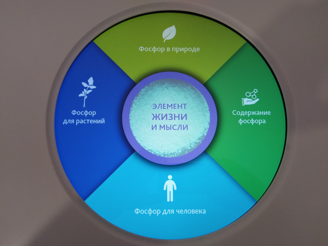 Zelyonaya Planeta Interactive-Educational Center景点图片