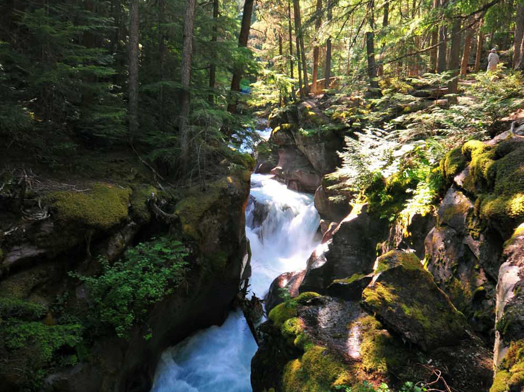 Holiday Inn Express & Suites Kalispell主图