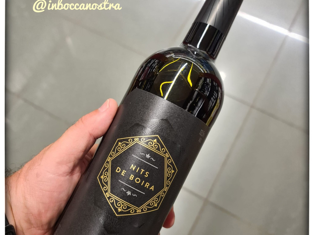Celler Clos Pons景点图片