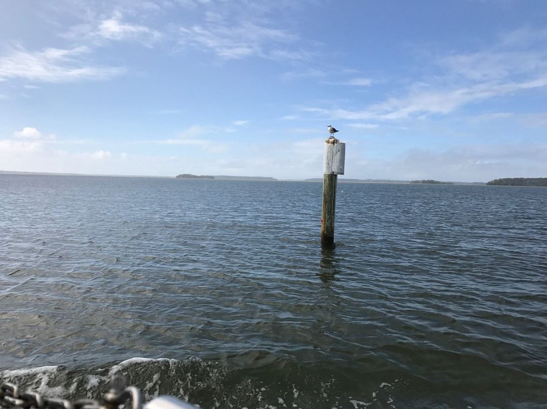 Daufuski Discoveries Day Tours-Daufuskie Island必去景点