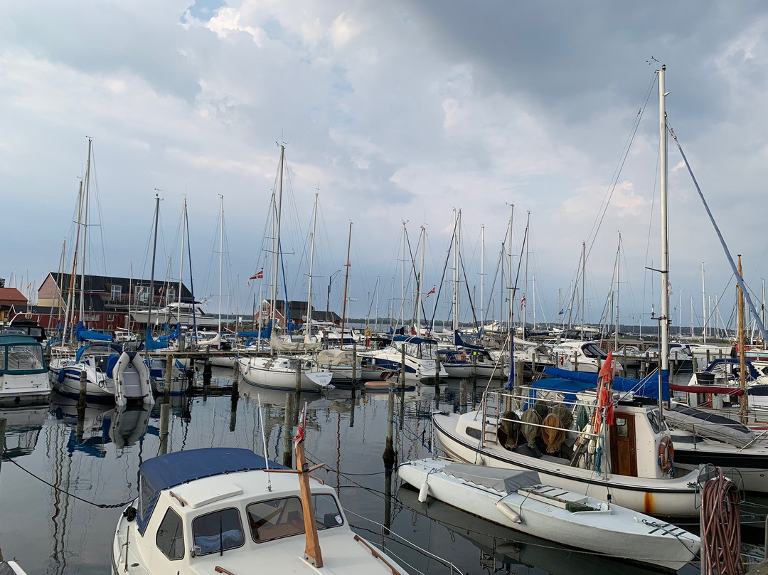 Juelsminde Havn og Marina景点图片
