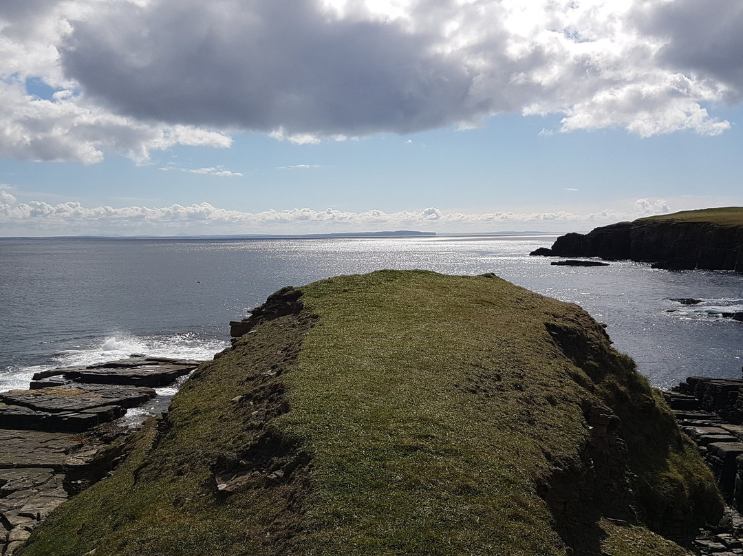 Island Tours of Hoy-Longhope必去景点