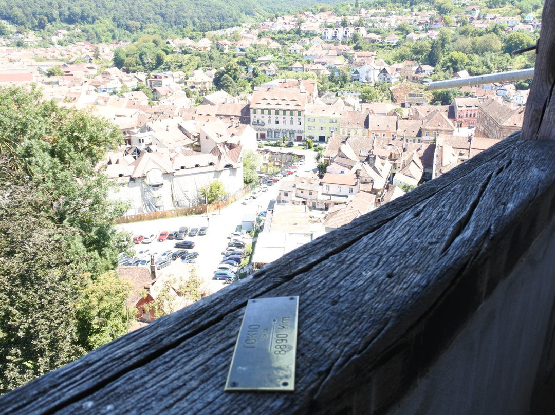 The Land of Dracula-布拉索夫必去景点