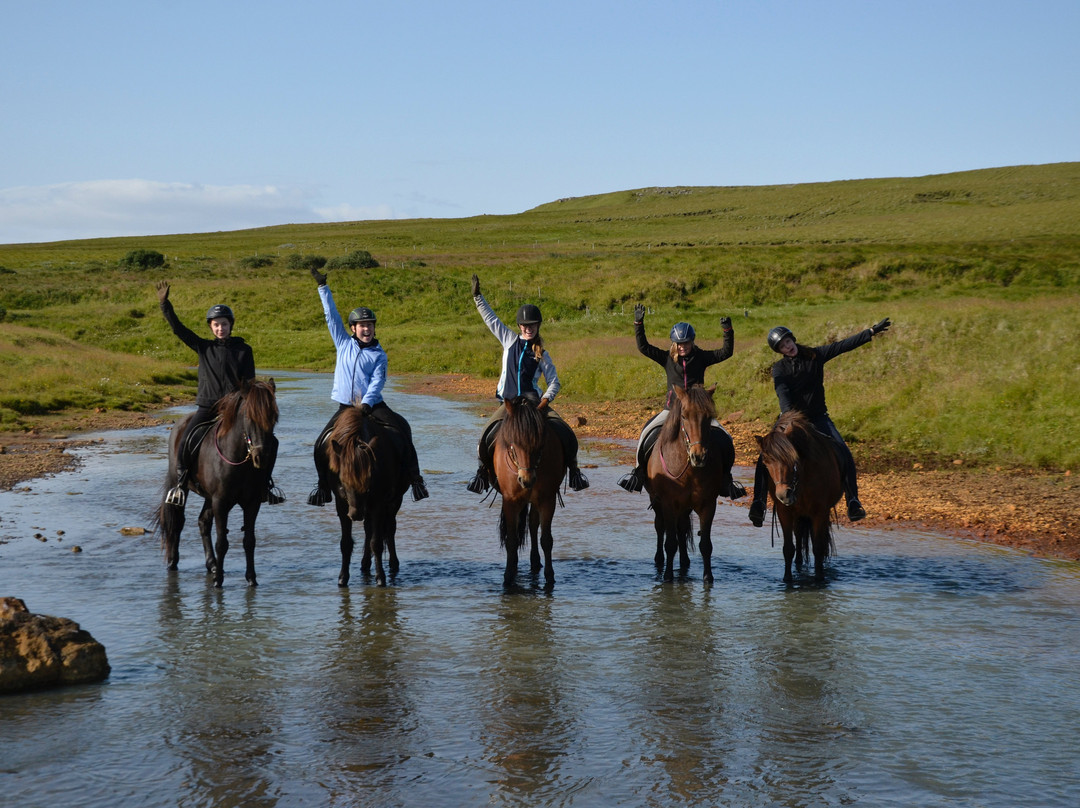 Hestheimar Riding Tours-海拉必去景点