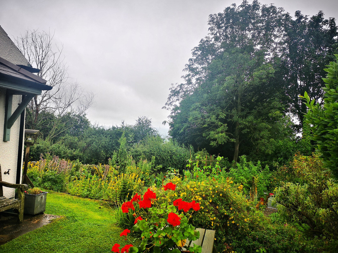 Ty Newydd-Y-Llwyn主图