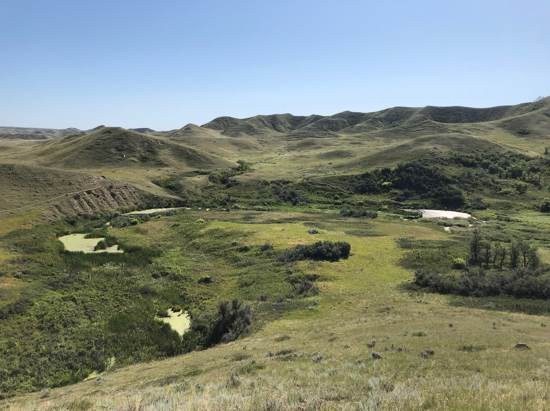 Saskatchewan Landing Provincial Park景点图片