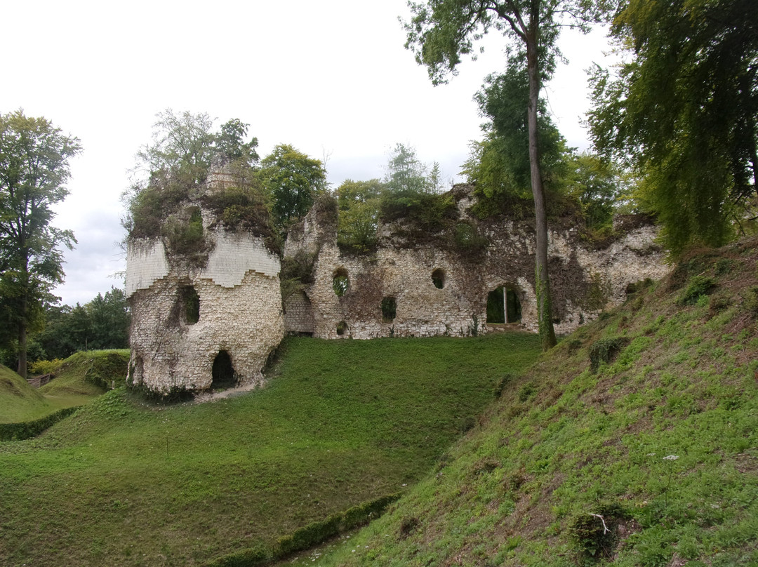 Château Féodal de Fressin景点图片