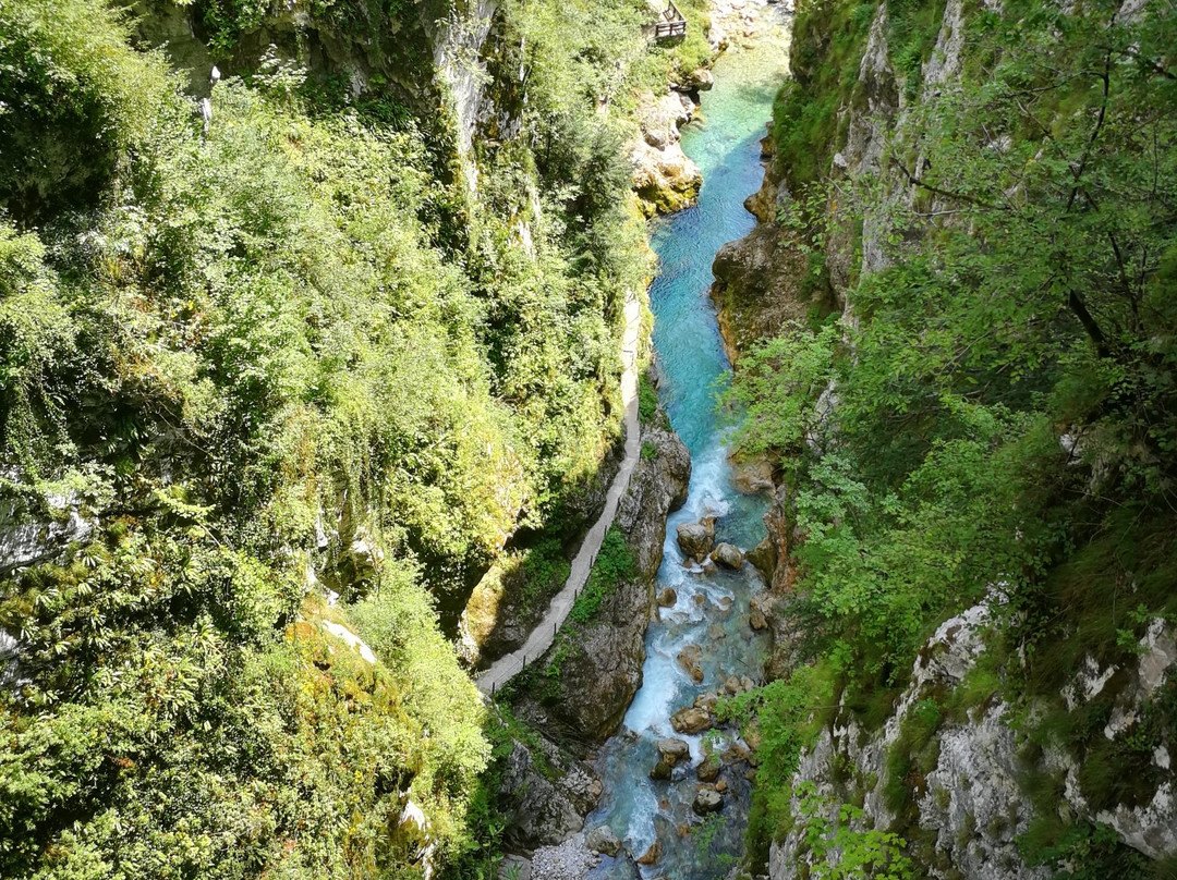 Tolmin Gorge景点图片