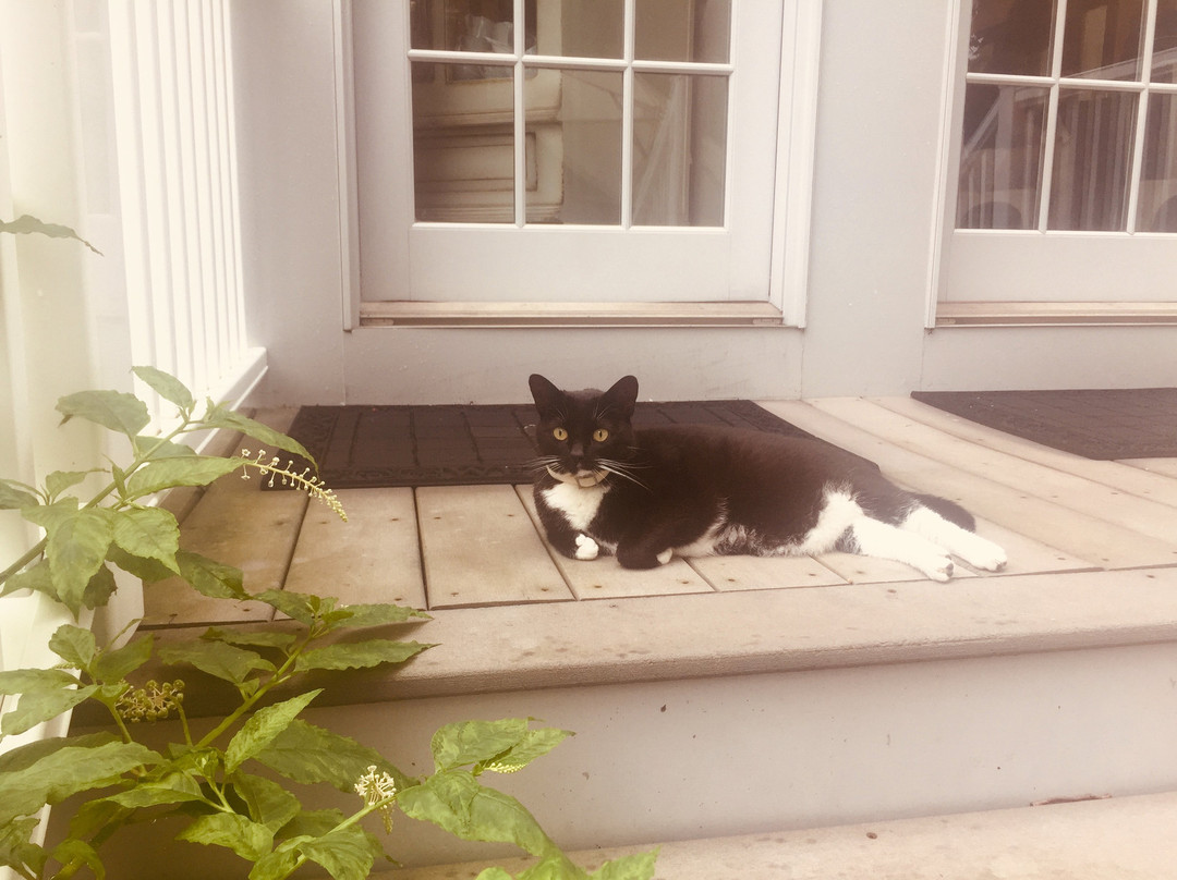 Frederick William House主图