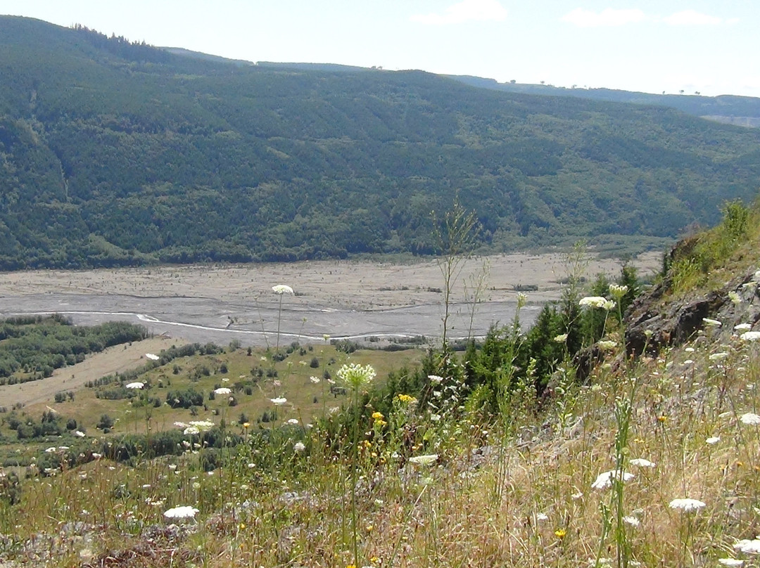 Toutle River景点图片