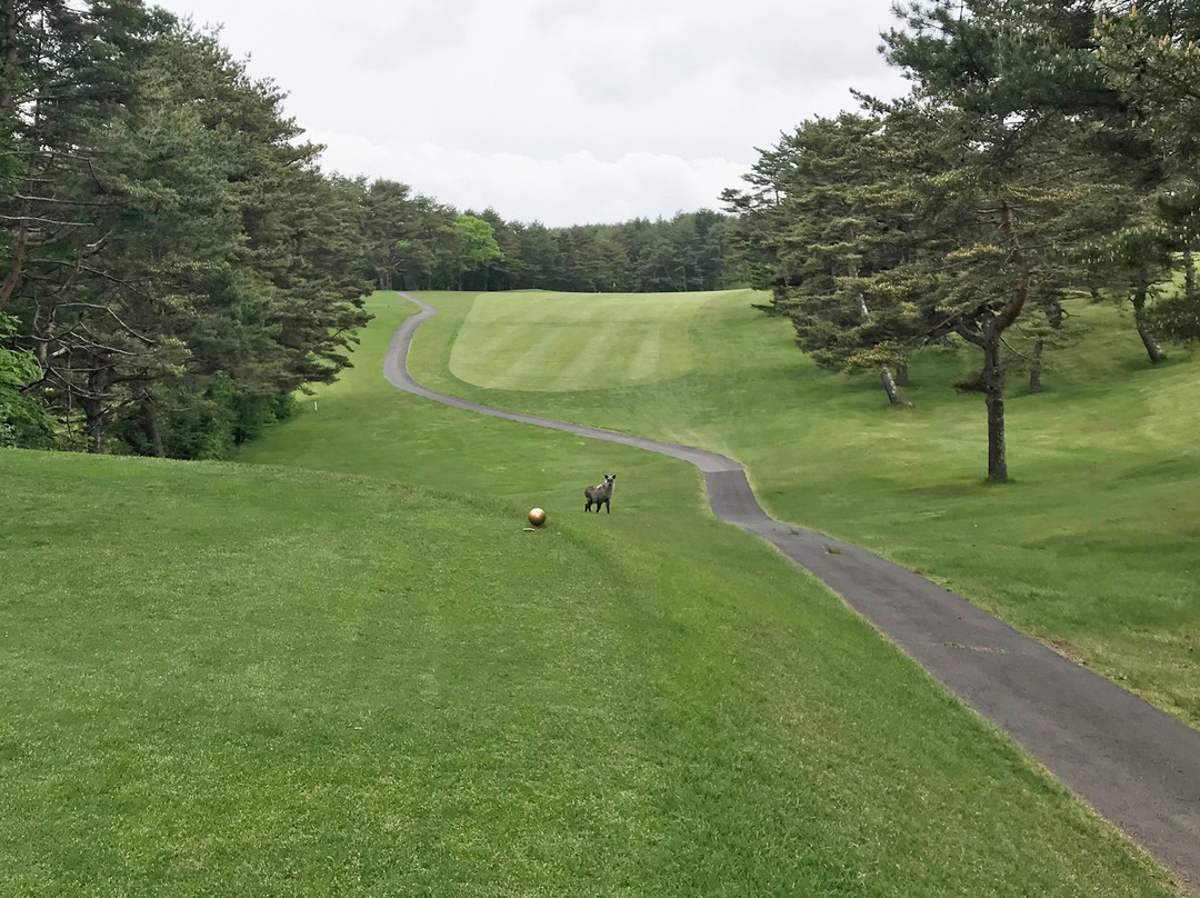 Tsumagoi Kogen Golf Course景点图片