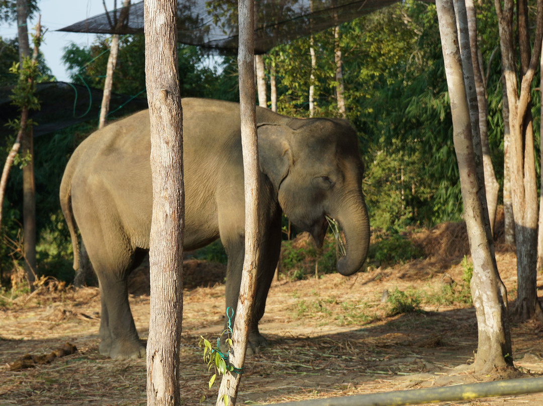 Bintan Eco Farm景点图片