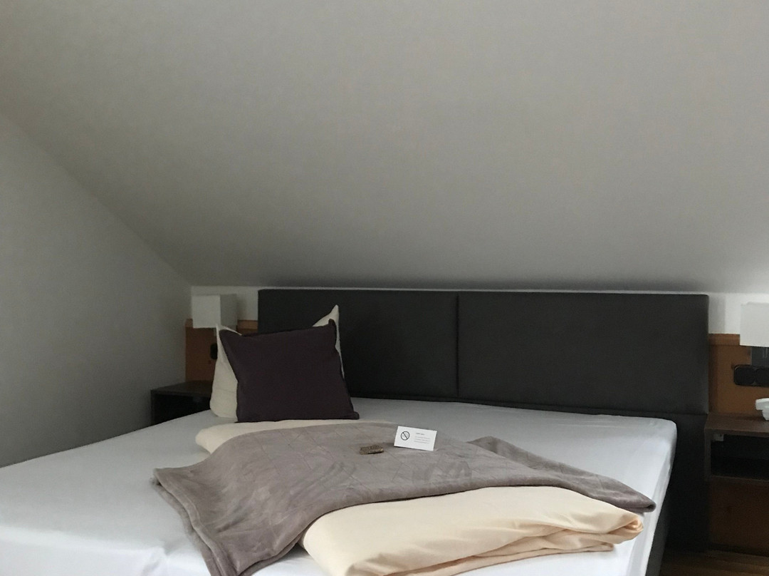 Boutique Hotel Beckenlehner主图