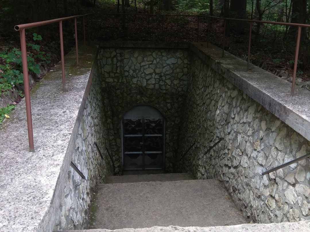 Bozkovske Dolomitove Cave-Bozkov必去景点