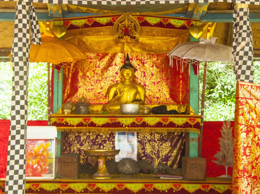 Lovina Bali Tours景点图片