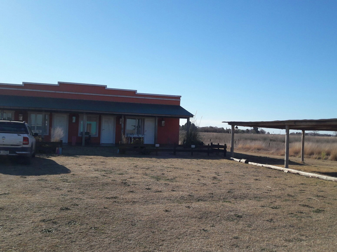 Lonquimay旅游攻略图片