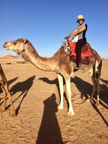 Moroko Tour-非斯必去景点