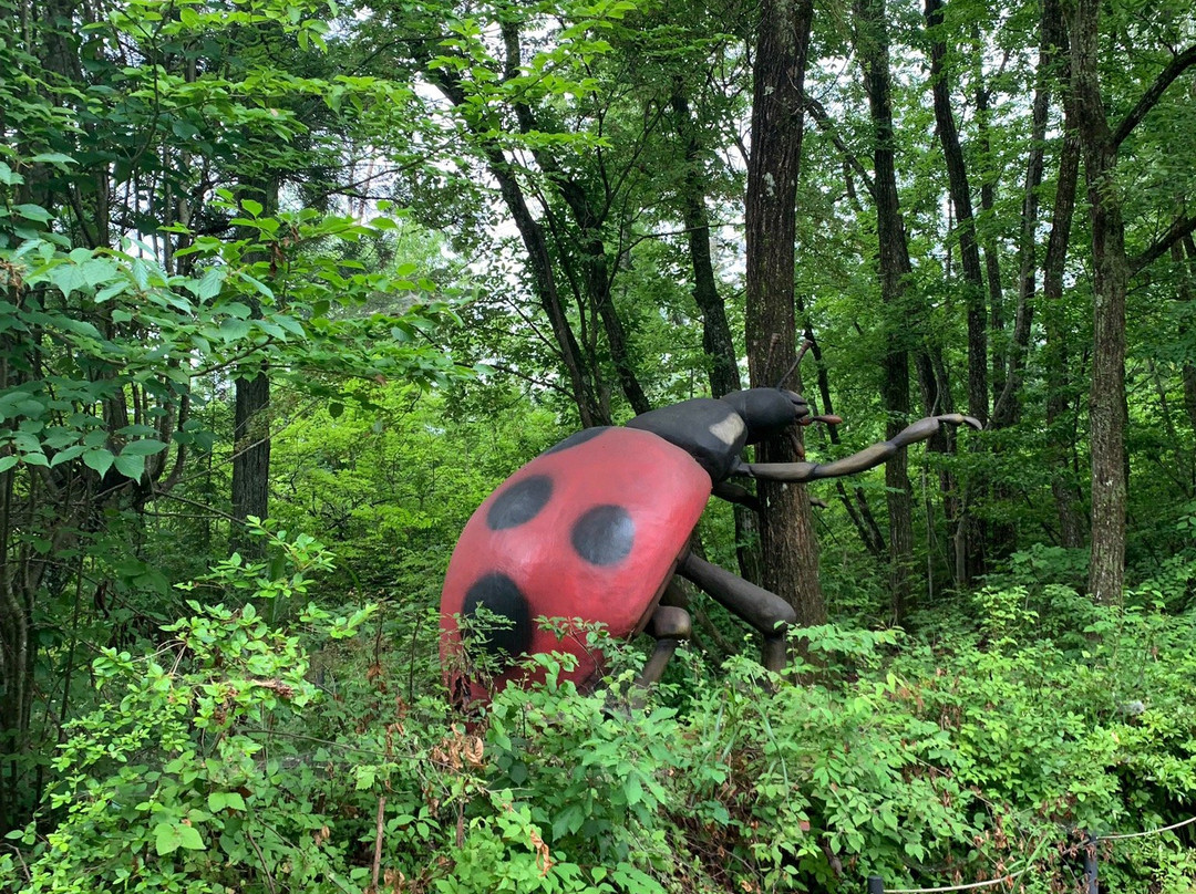 Katsuyama Dino Park景点图片