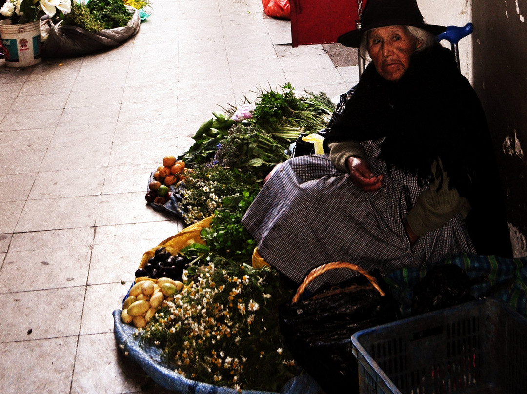 Mercado Central-苏克雷必去景点