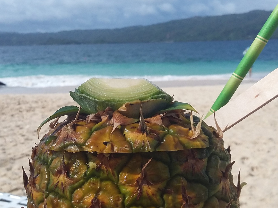 Cayenas del Mar Beach Club-Santa Barbara de Samana必去景点