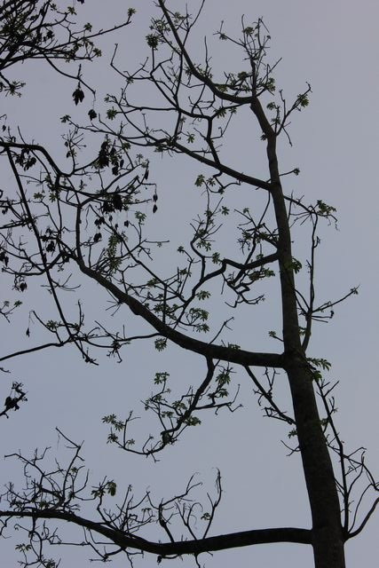 Stream Garden Mountain Resort主图