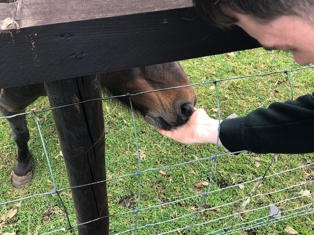 Moher Hill Open Farm-Liscannor必去景点