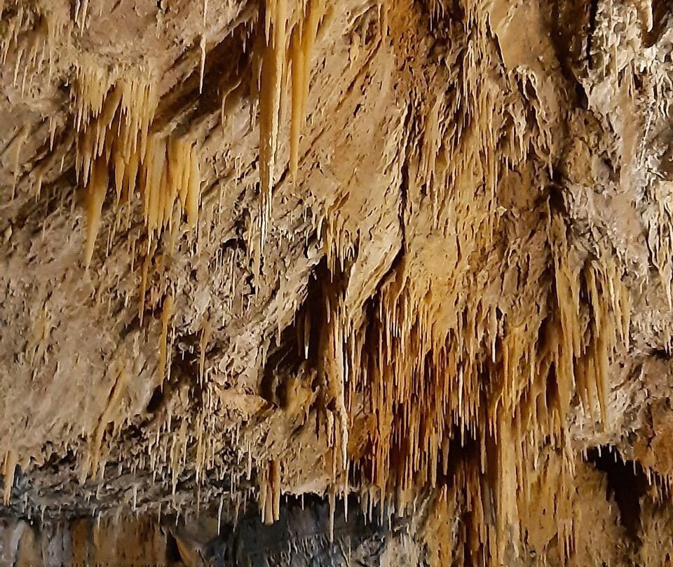 Ali Sadr Cave景点图片
