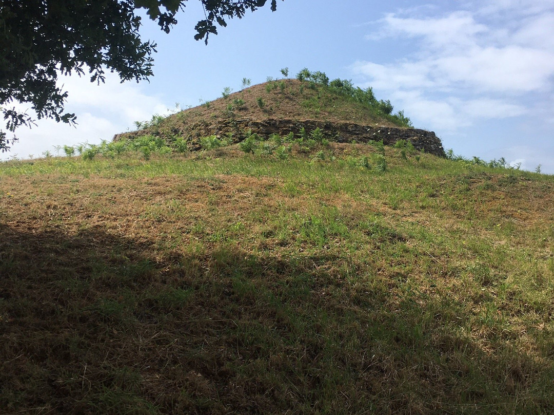 Tumulus de Dissignac景点图片