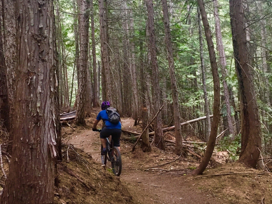 Mount Fernie Provincial Park景点图片