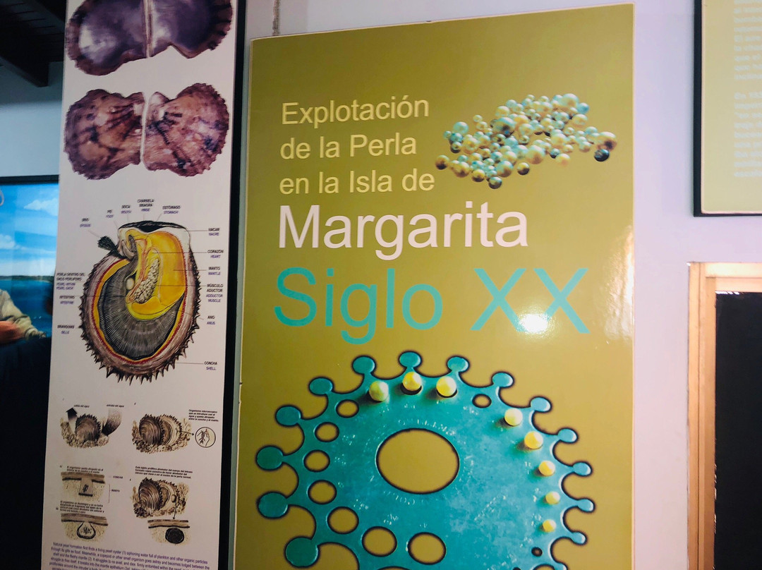 Museo Marino de Margarita景点图片