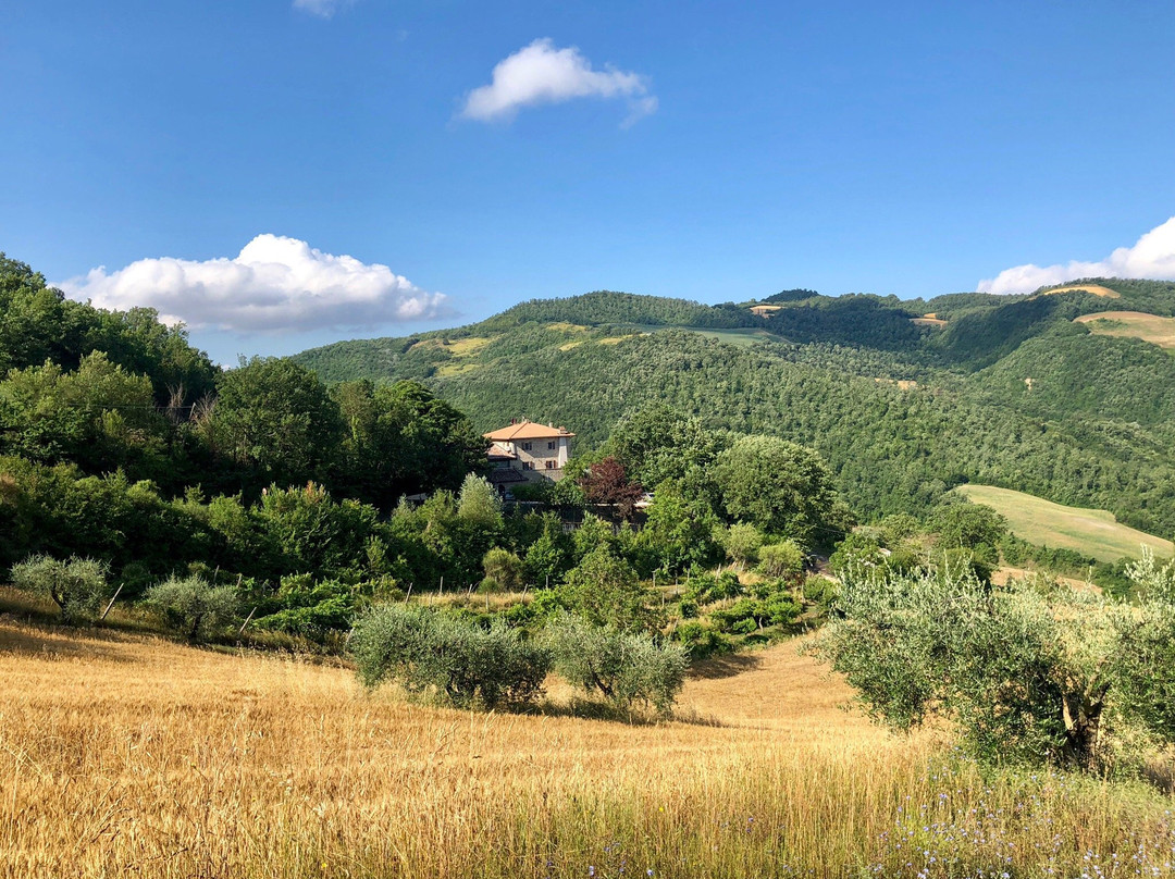 Le Torracce Agriturismo Olistico主图
