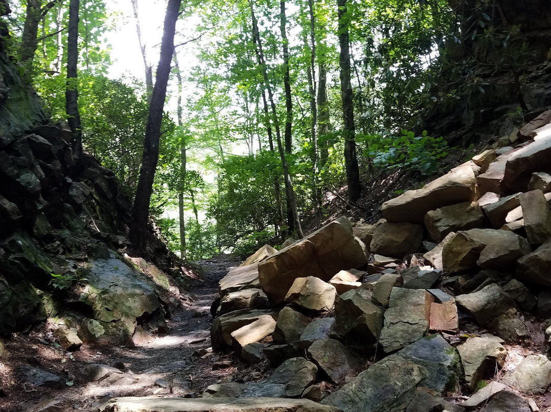 Laurel Fork Falls景点图片