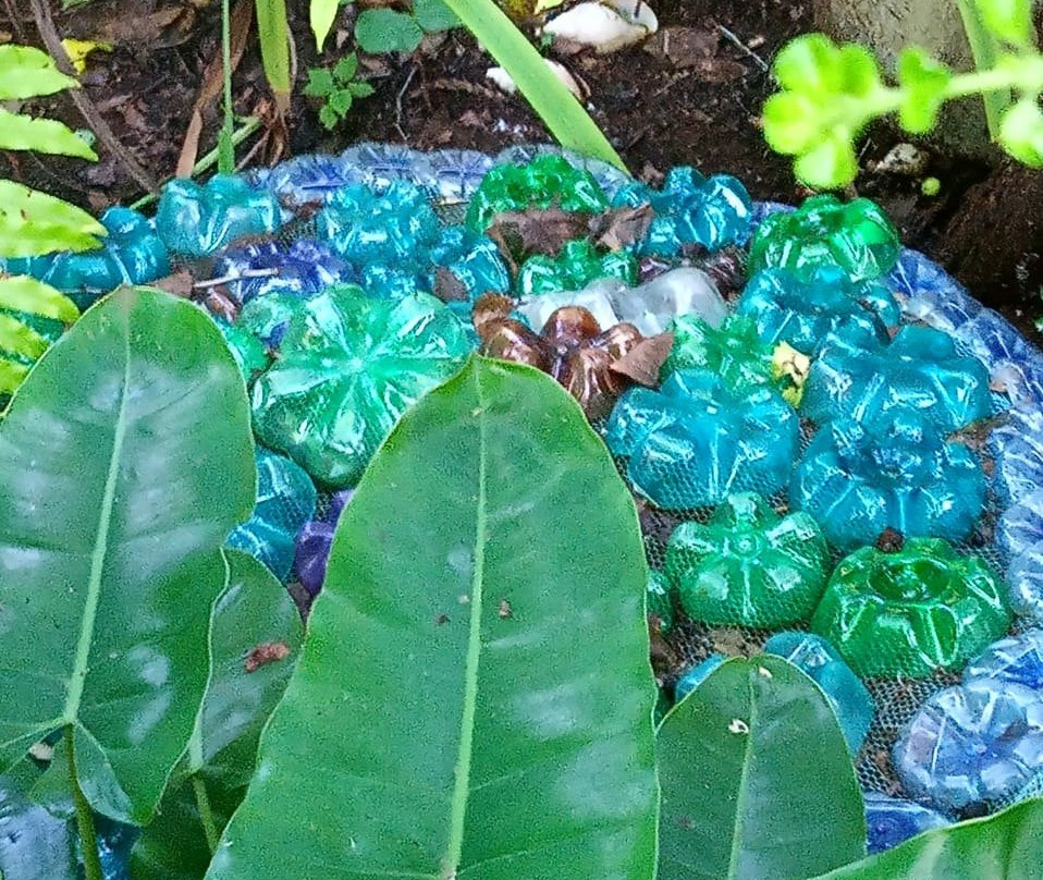 Local Ocean Conservation-瓦塔木必去景点