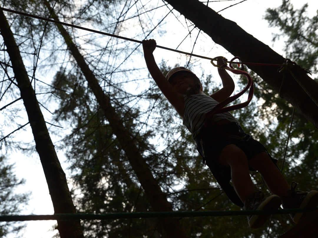Parco Sospeso Nel Bosco-Gromo必去景点