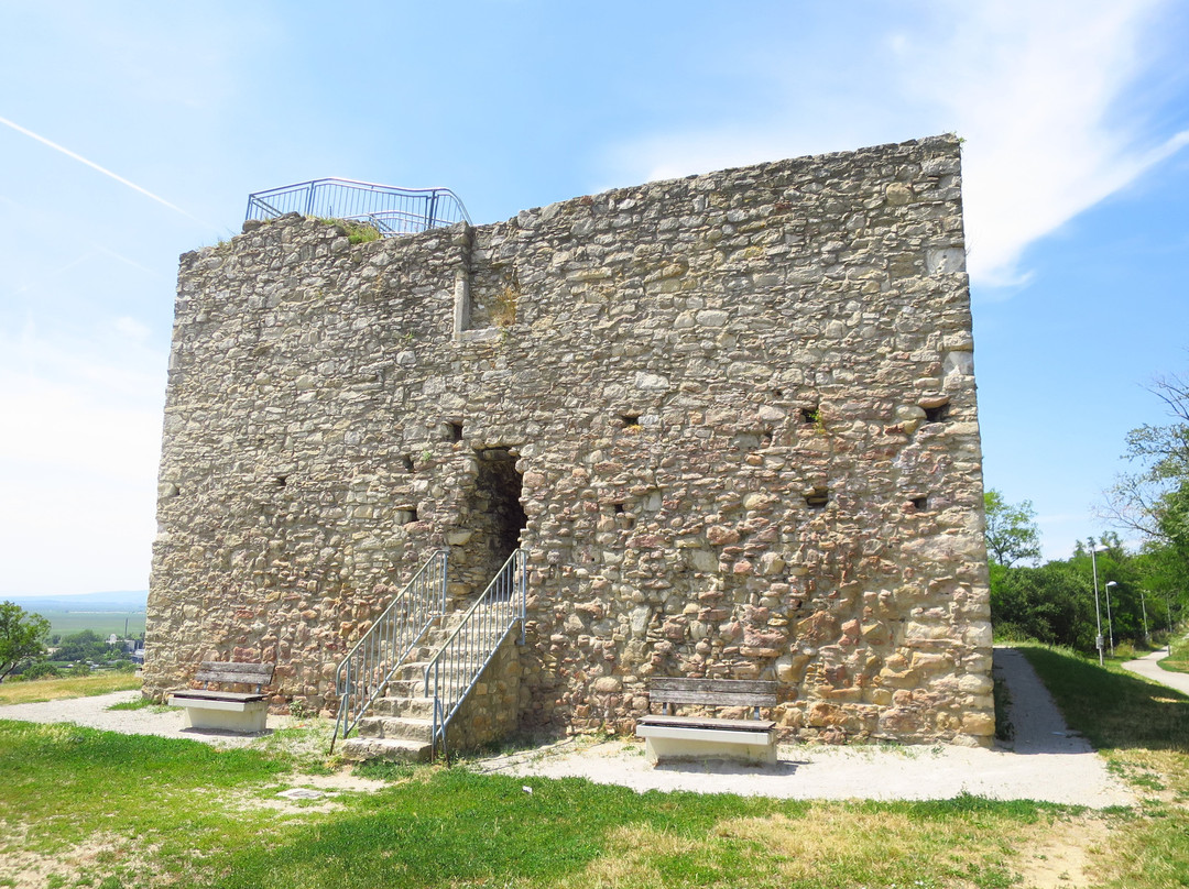 Ruine Tabor in Neusiedl am See