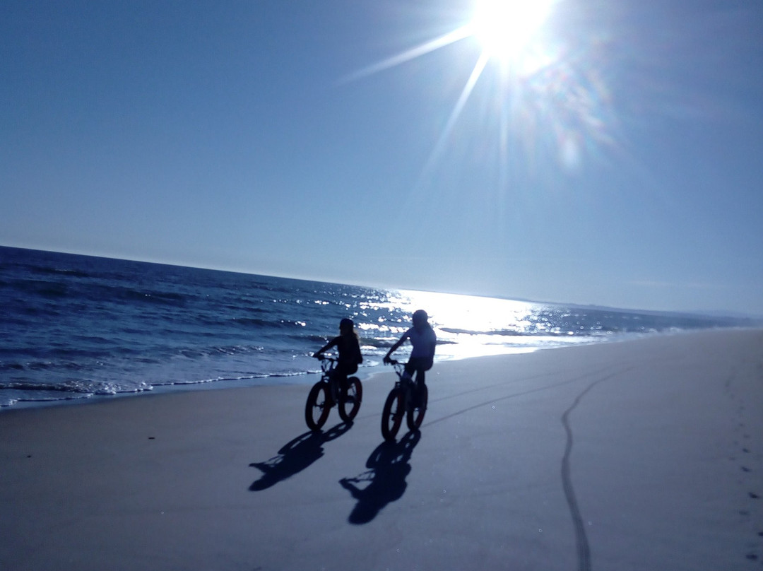 Algarve Fat Wheels-法罗必去景点