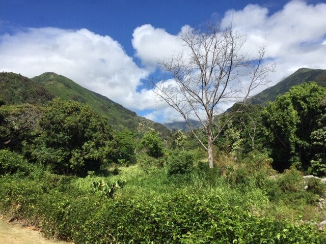 Iao Valley Inn主图